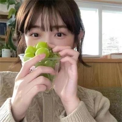 花园宝宝